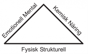 halsotriangel